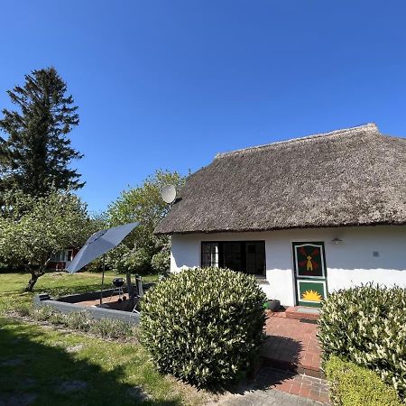 Ferienhaus Ilva In Born Villa Exterior foto