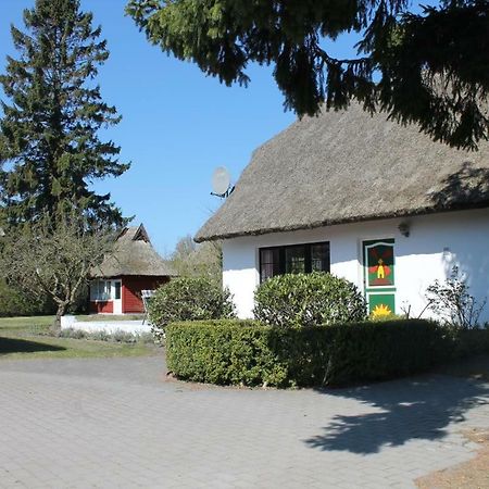 Ferienhaus Ilva In Born Villa Exterior foto