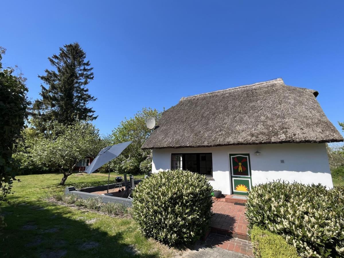 Ferienhaus Ilva In Born Villa Exterior foto