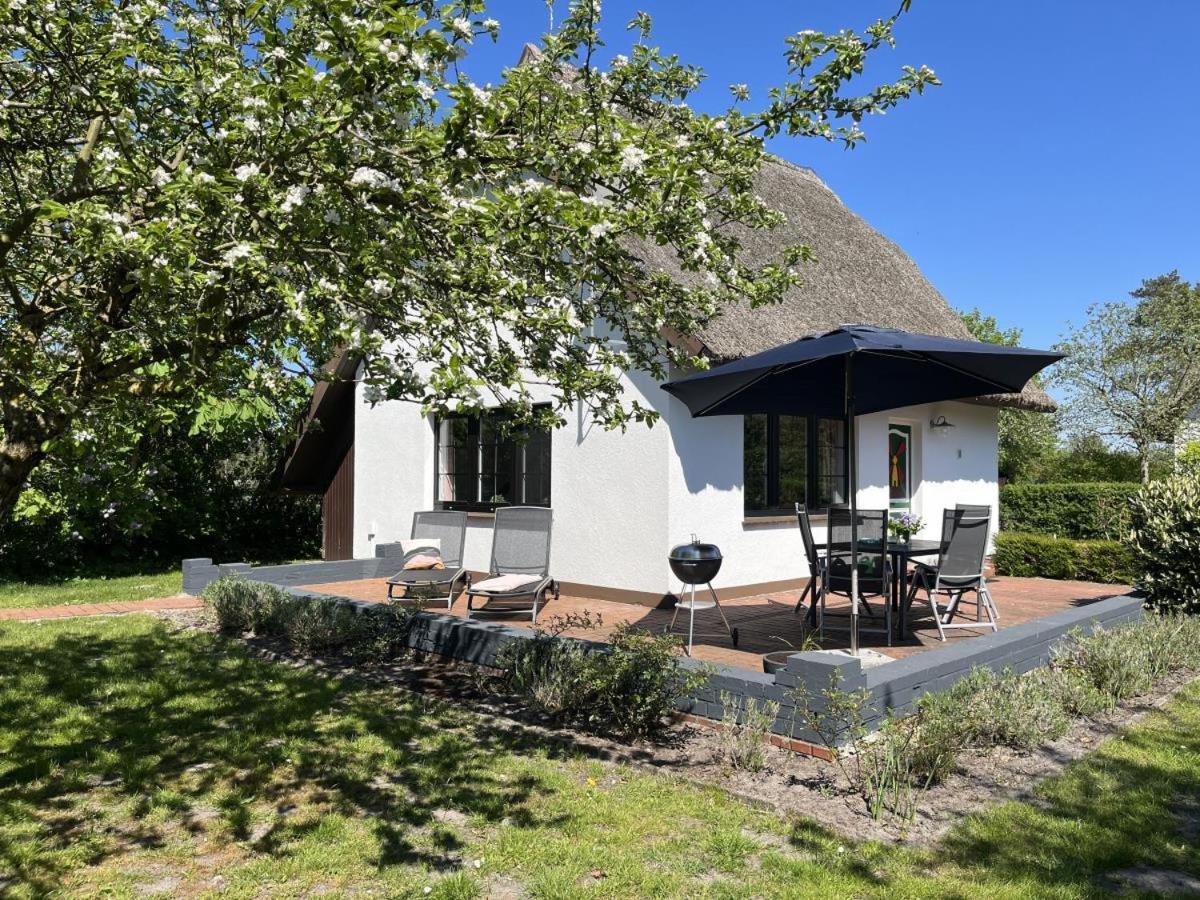 Ferienhaus Ilva In Born Villa Exterior foto