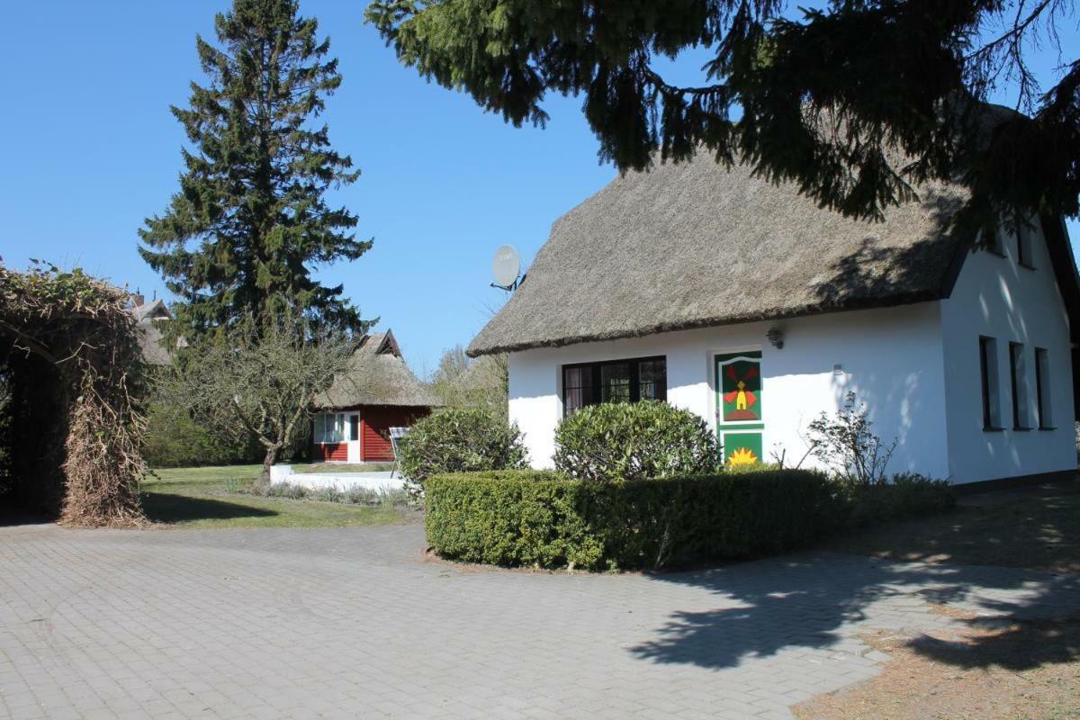Ferienhaus Ilva In Born Villa Exterior foto